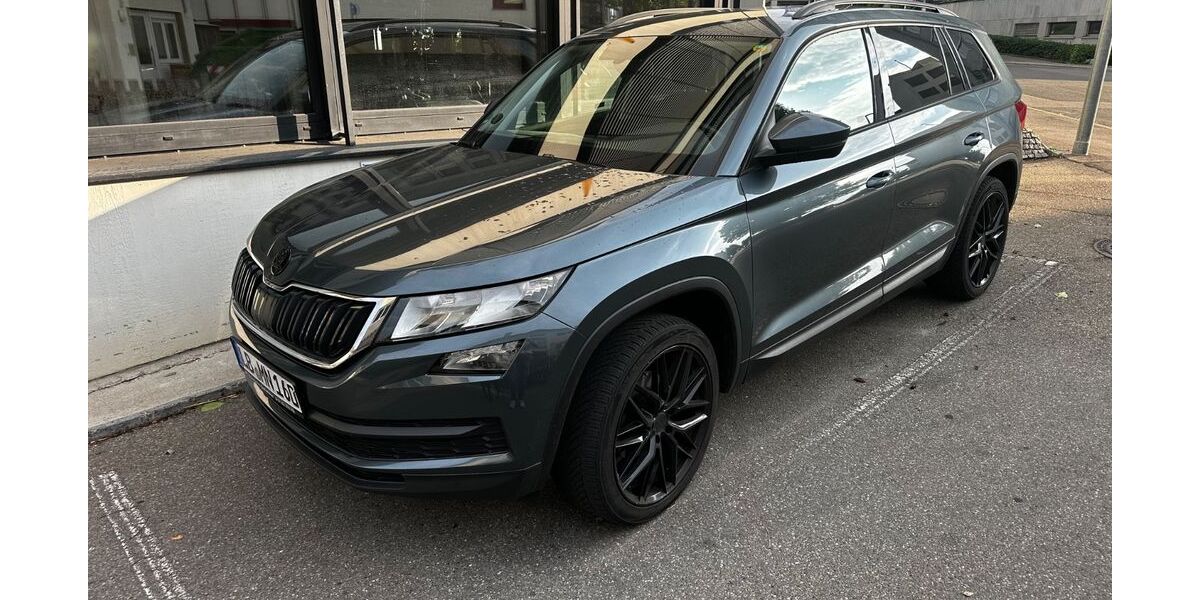 Skoda Kodiaq 135.000 km 14.500 &euro; Tamm 71732