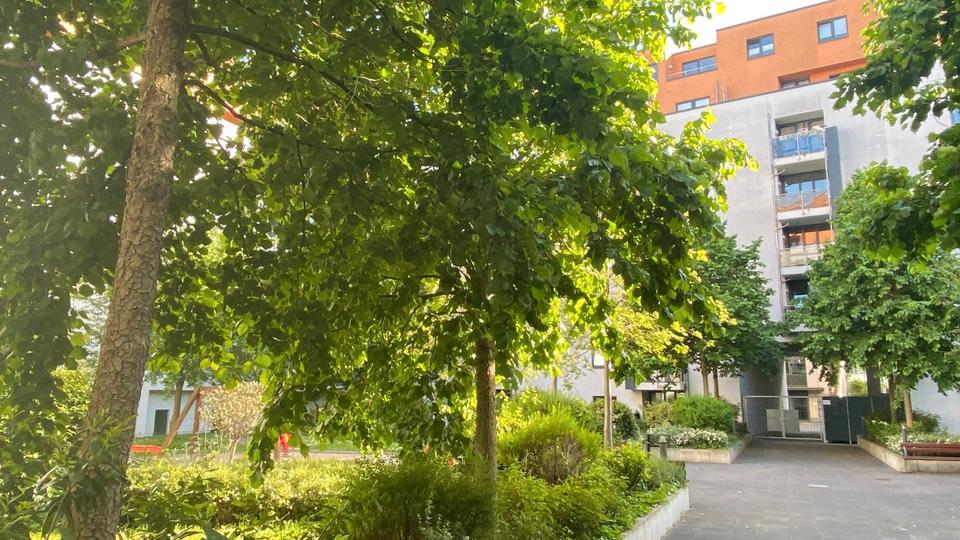 Etagenwohnung Stuttgart Stuttgart-Nord - 2 Zimmer, 49 m&sup2;, 1.150&euro; | Angebot:26407608