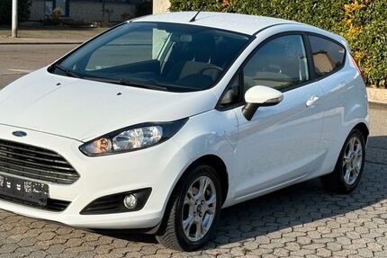 Ford Fiesta 164.100 km 3.500 &euro; Metzingen 72555