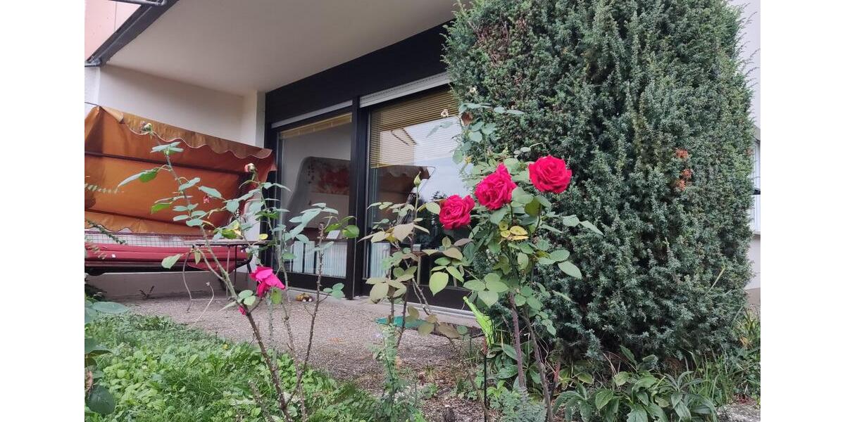 Erdgeschoßwohnung Stuttgart Botnang - 1 Zimmer, 50 m&sup2;, 650&euro; | Angebot:25259144