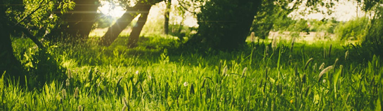 Natur & Ausflugsziele rund um Stuttgart