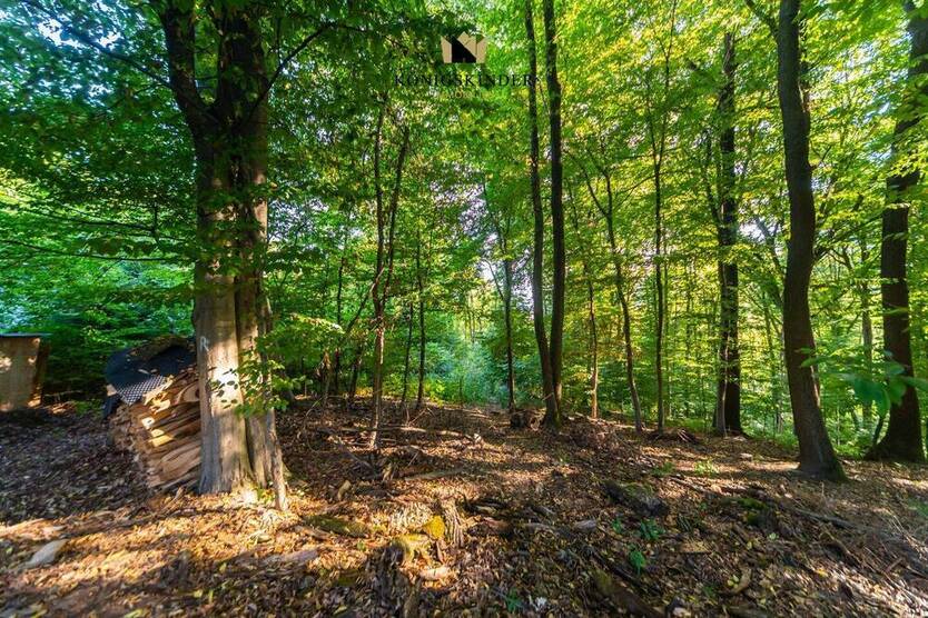 ** Unberührte Natur in bester Lage - 5 Grundstücke **