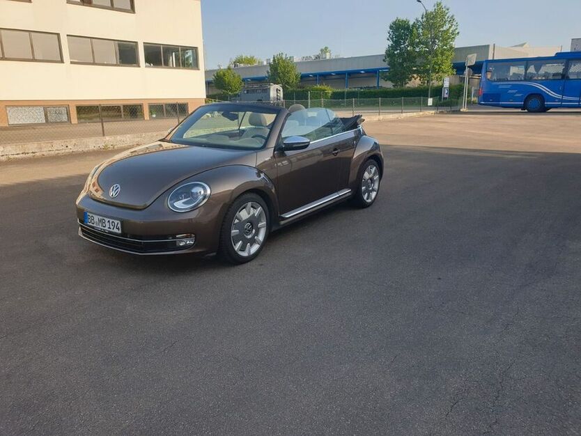 Beetle