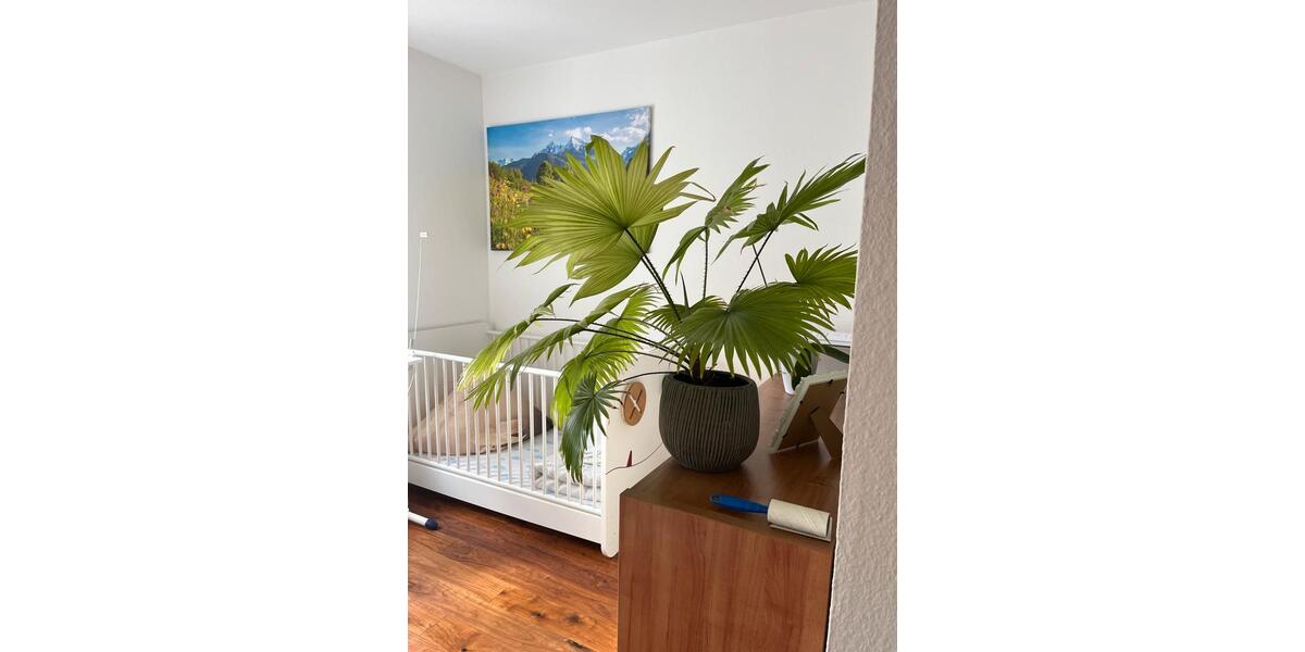 Etagenwohnung Stuttgart Birkach - 3 Zimmer, 78 m&sup2;, 450.000&euro; | Angebot:26790550