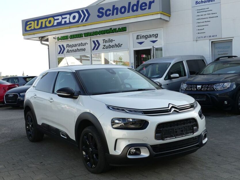 C4 Cactus