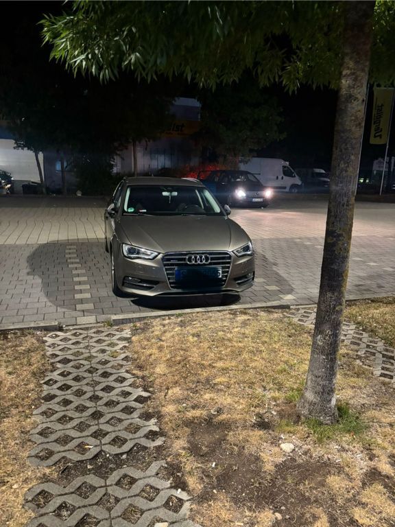 A3