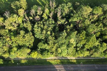 Grundstück Nürtingen - 24.000&euro; | Angebot:24551327