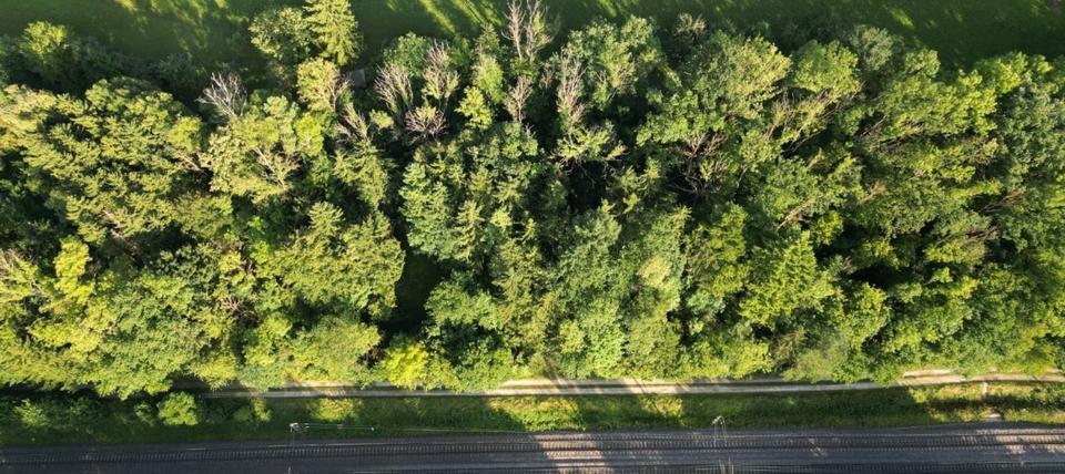 Grundstück Nürtingen - 24.000&euro; | Angebot:24551327