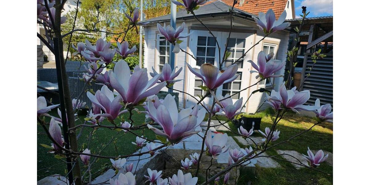 Maisonettenwohnung Kirchheim unter Teck - 5 Zimmer, 147 m&sup2;, 745.000&euro; | Angebot:27096431