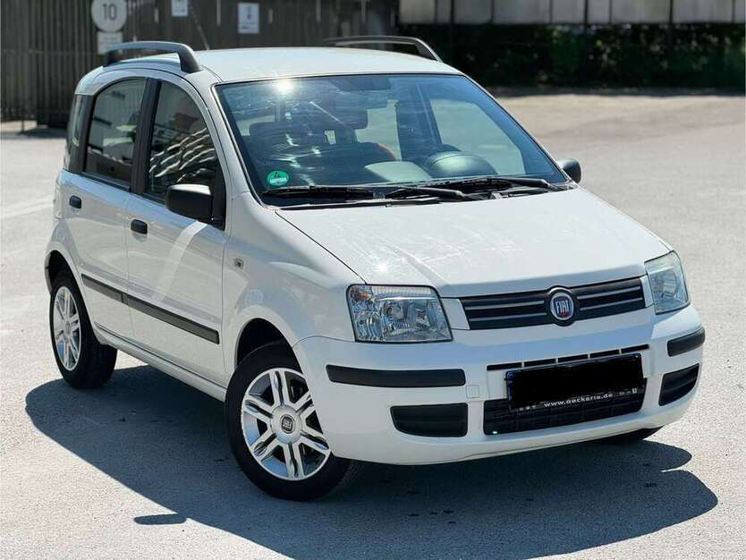 Panda