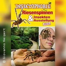 Insectophobie: Riesen Spinnen & Insekten 07.06.2026 K3N - Stadthalle u. Kreuzkirche - Kreuzkirche Großer Saal