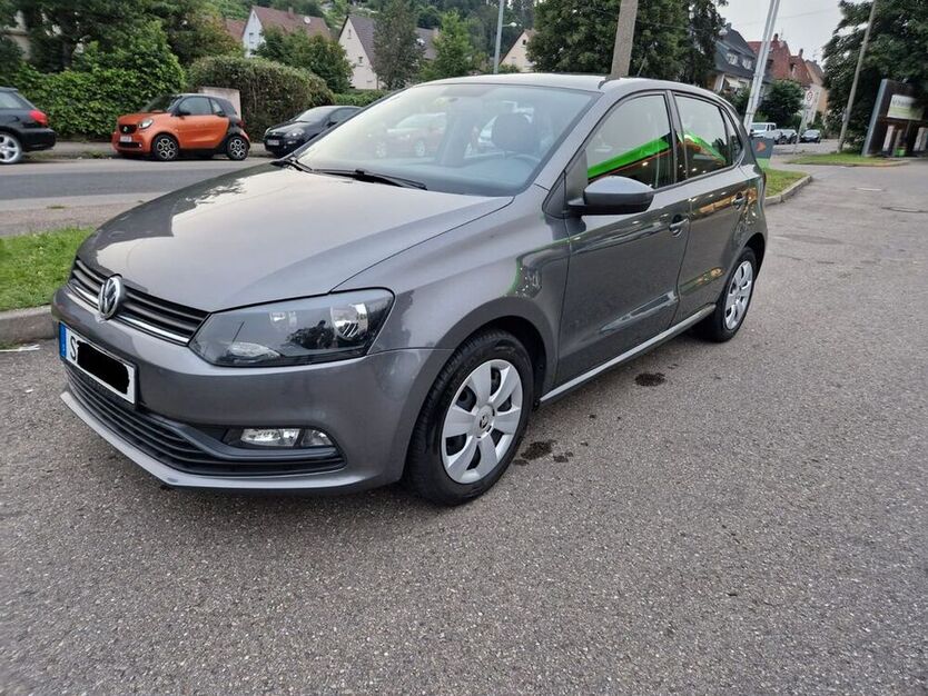 Polo
