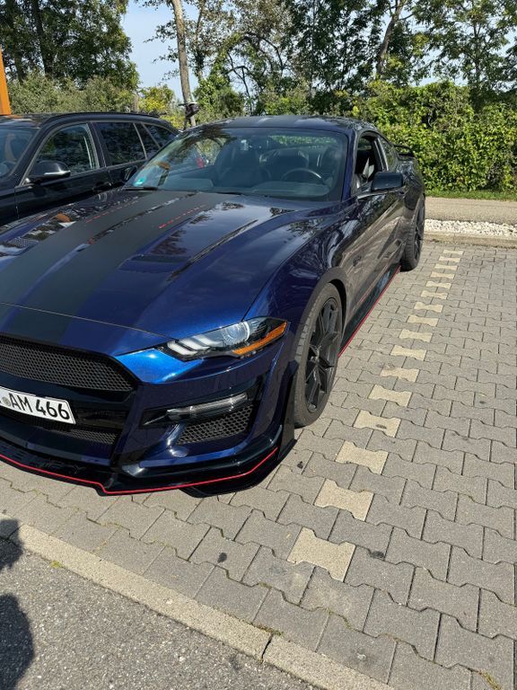 Mustang