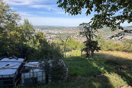 Grundstück zu verkaufen in Stuttgart 35.000 € 1781 m² zimmer