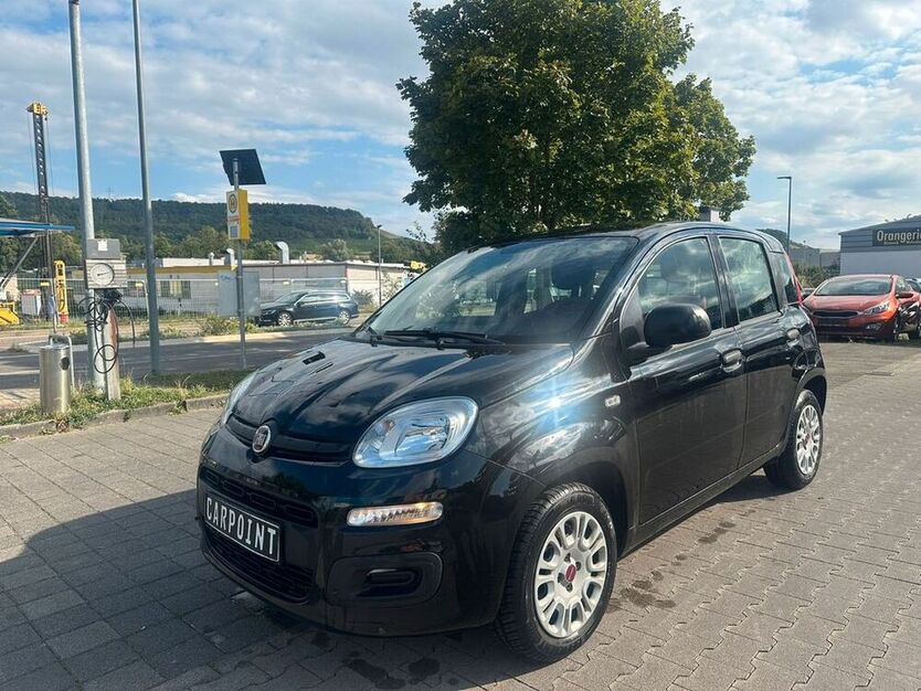Panda