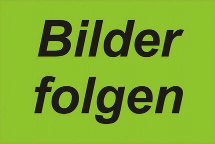 Seat Leon 148.000 km 4.199 € Sindelfingen 71069