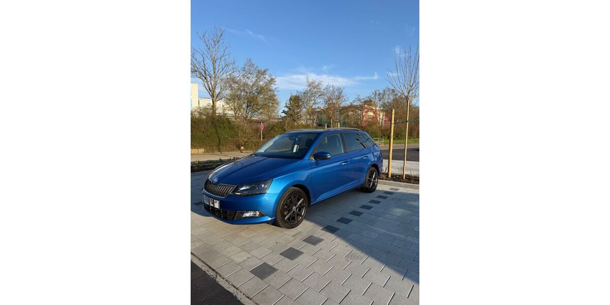 Skoda Fabia 76.200 km 11.000 &euro; Böblingen 71032