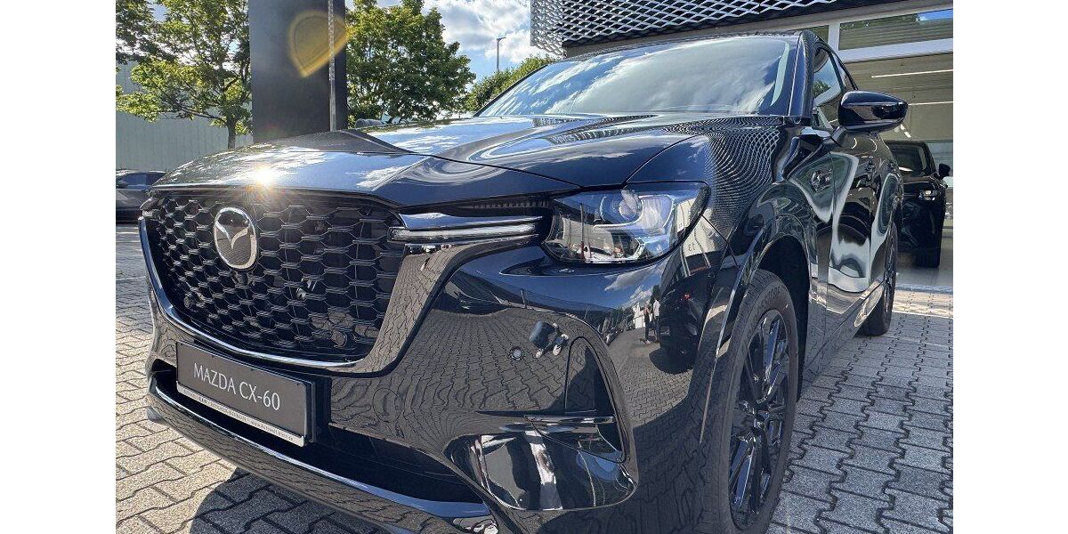 Mazda CX-60 2.642 km 50.990 € Bietigheim-Bissingen 74321