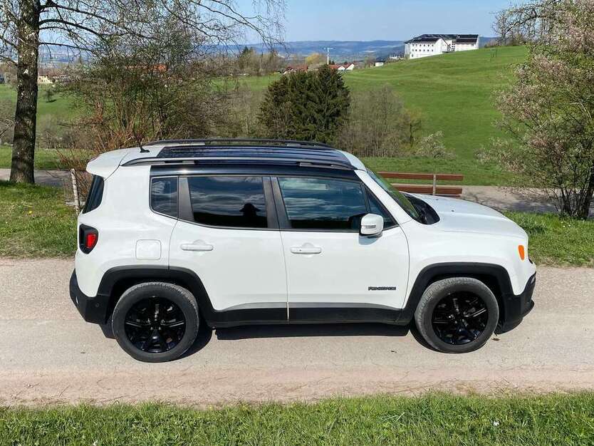 Renegade