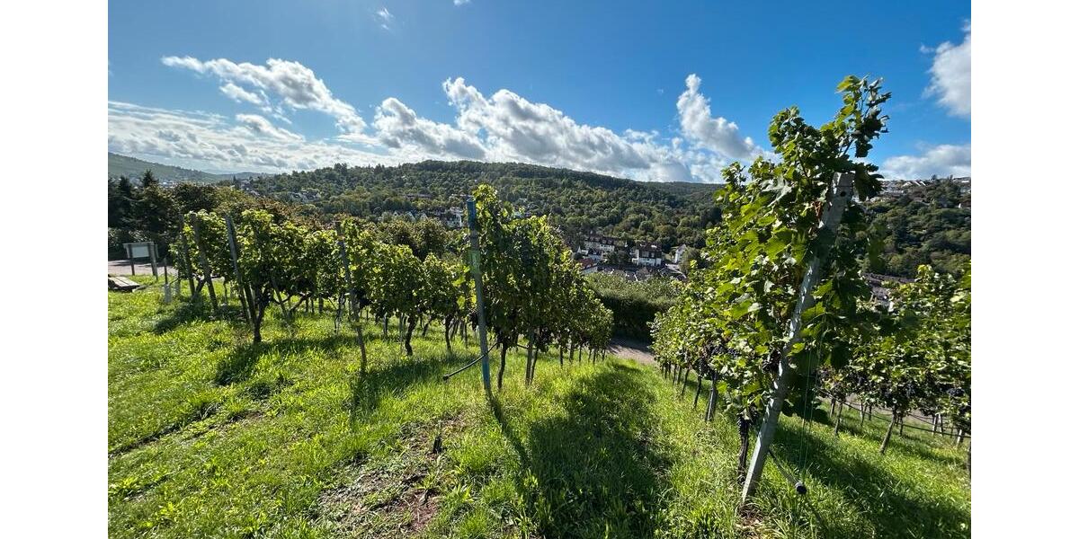 Grundstück Stuttgart Hedelfingen - 112&euro; | Angebot:26313429