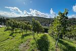 Grundstück Stuttgart Hedelfingen - 112&euro; | Angebot:26313429