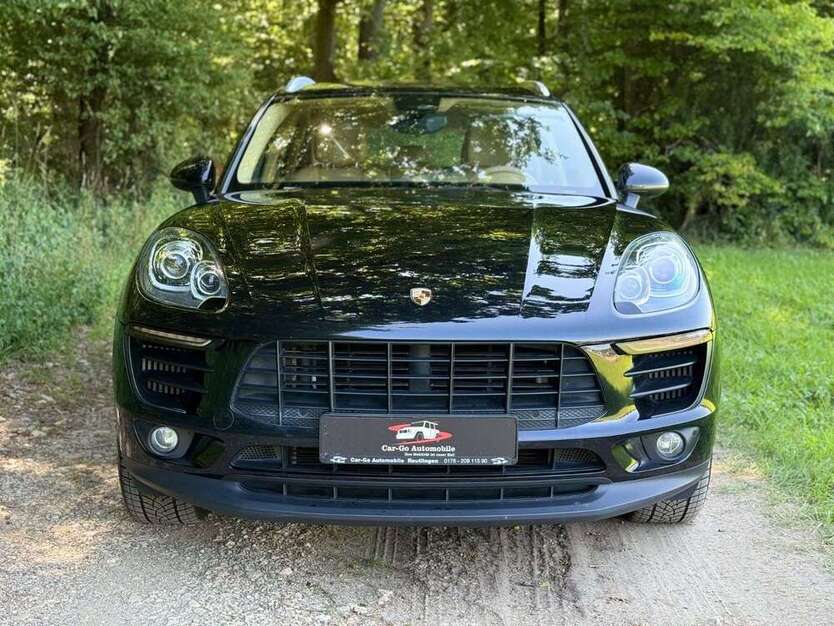 Macan