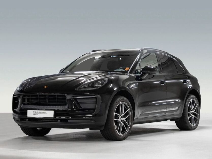 Macan