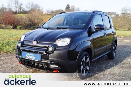 Fiat Panda 11.500 km 14.490 &euro; Korb 71404