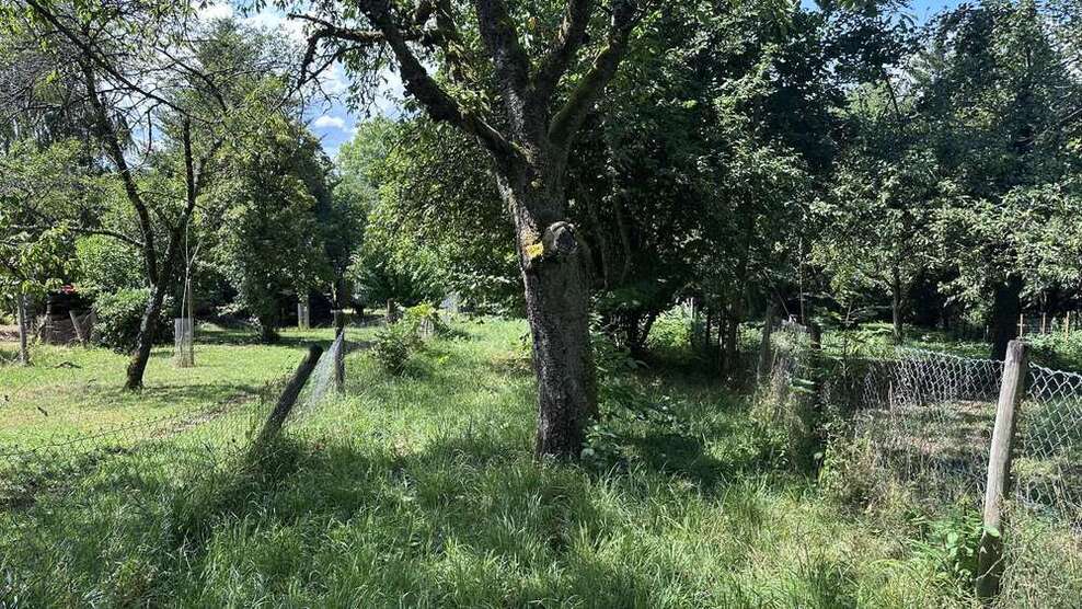 Grundstück zu verkaufen in Esslingen 18.000 € 970 m²