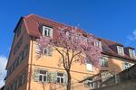 Erdgeschoßwohnung Schwieberdingen - 2 Zimmer, 98 m&sup2;, 1.570&euro; | Angebot:26458268