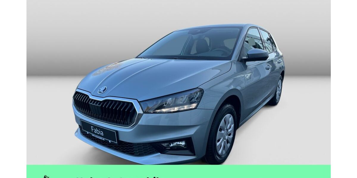 Skoda Fabia 1.111 km 20.690 &euro; Weinstadt-Endersbach 71384