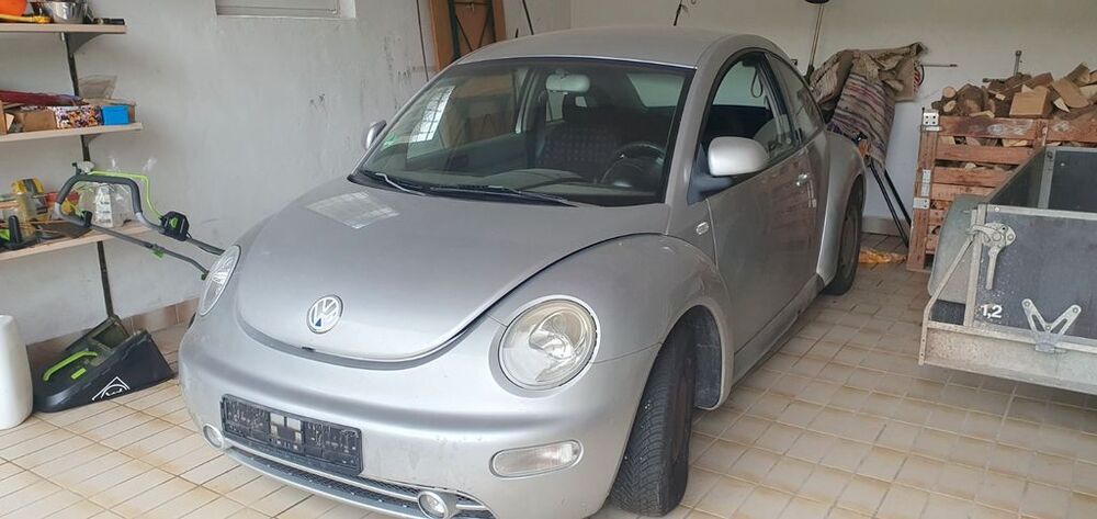 Beetle