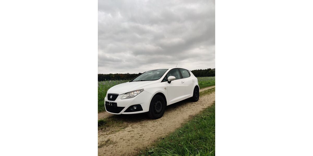 Seat Ibiza 177.000 km 3.550 &euro; Esslingen 73728