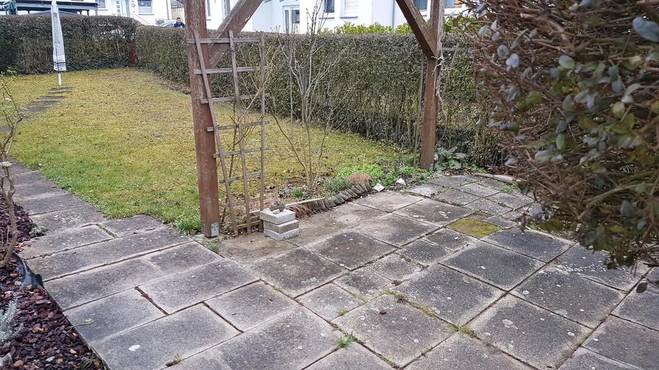 Dachgeschoßwohnung Stuttgart Neuwirtshaus - 2.5 Zimmer, 59 m&sup2;, 235.000&euro; | Angebot:26920779
