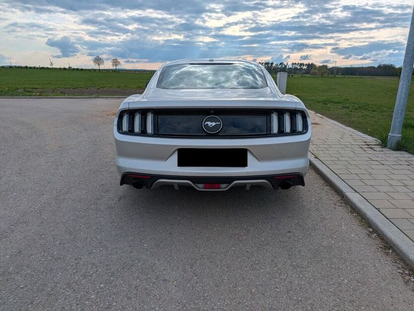 Mustang