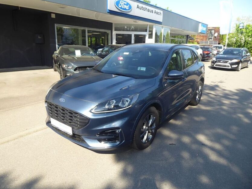 Kuga