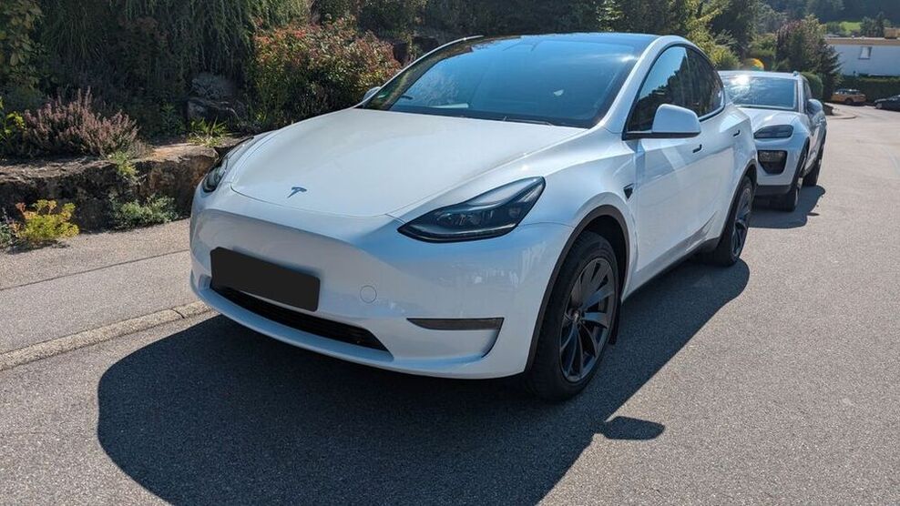 Model Y