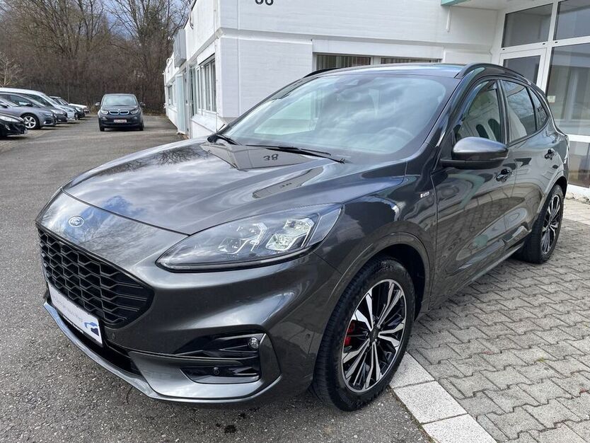 Kuga