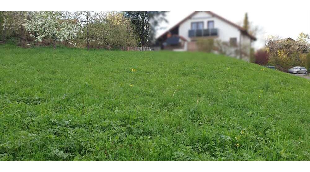 Haus zum Kaufen in Reutlingen-Sondelfingen 849.760 € 145 m²