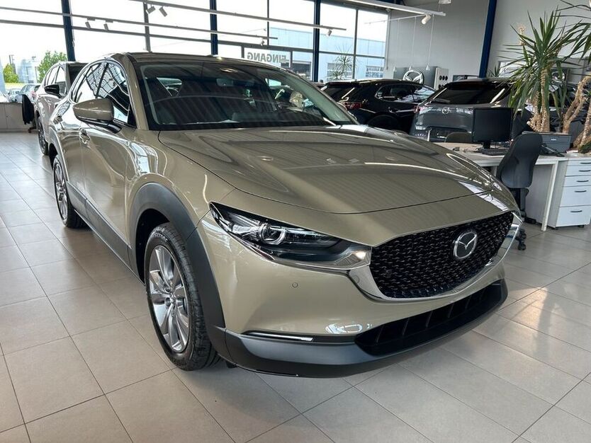 CX-30