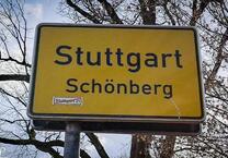 Großzügiges Wohnen in indyllischer Waldrandlage in Schönberg