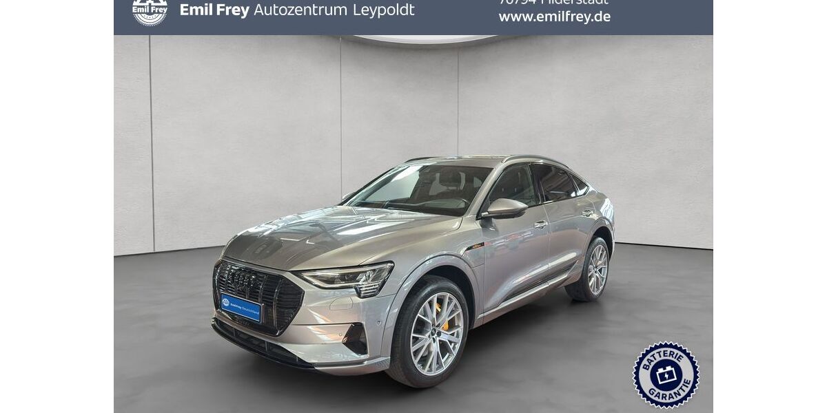 Audi e-tron 68.958 km 36.890 &euro; Filderstadt 70794