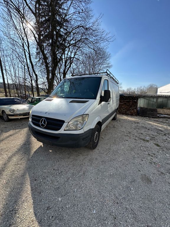 Sprinter