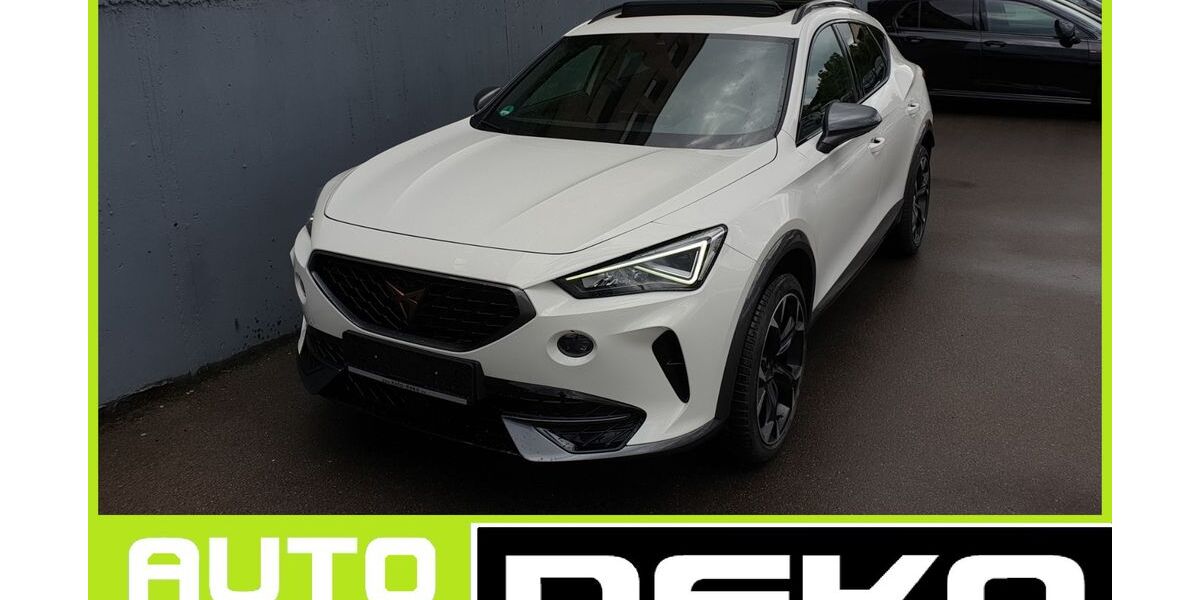 Cupra Formentor 74.454 km 24.370 € Waiblingen 71332