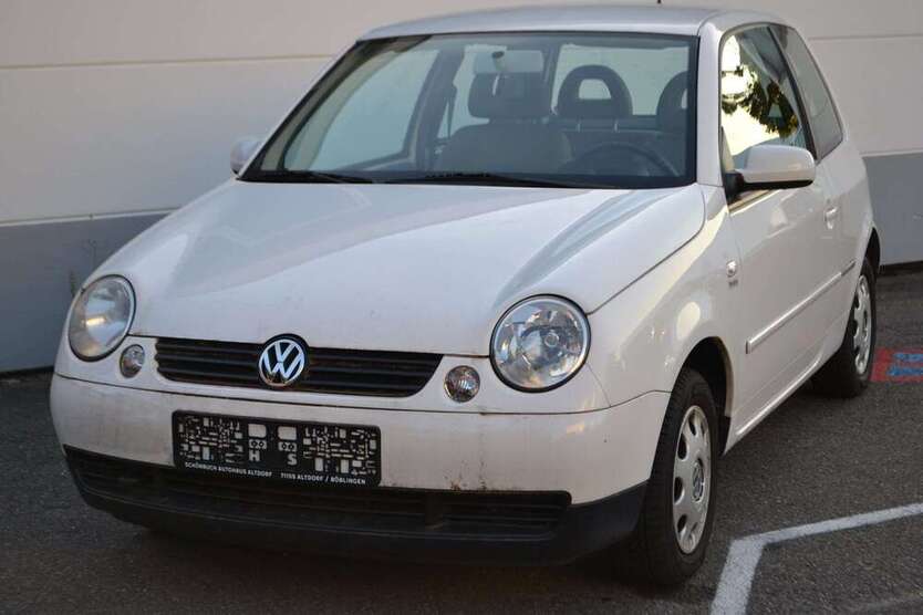 Lupo