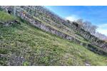Grundstück Stuttgart Bad Cannstatt - 25&euro; | Angebot:26101804