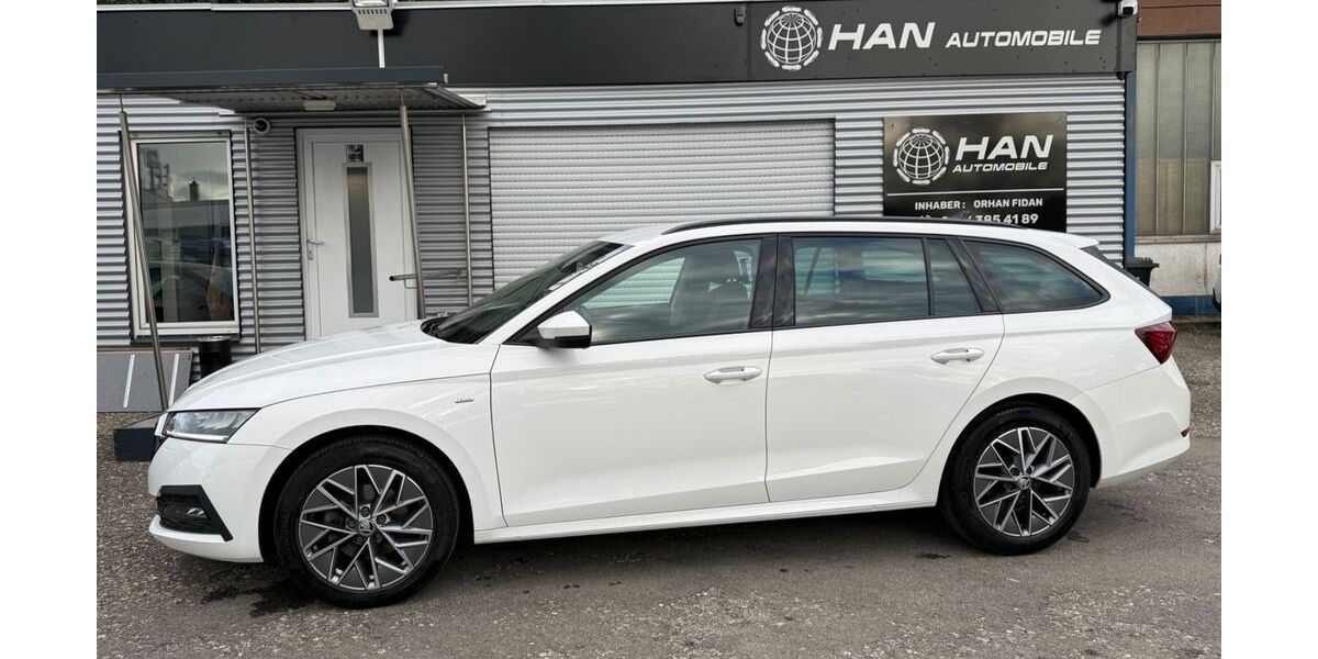 Skoda Octavia 102.400 km 19.690 &euro; Sindelfingen 71065