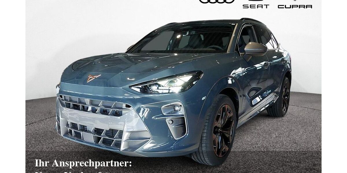 Cupra Terramar 2.500 km 37.380 € Bietigheim-Bissingen 74321