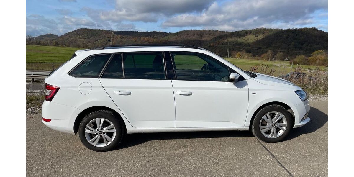 Skoda Fabia 64.400 km 13.900 € Tübingen 72072