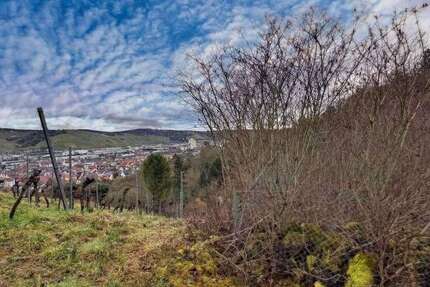 Grundstück Stuttgart Luginsland - 9.000&euro; | Angebot:24906395